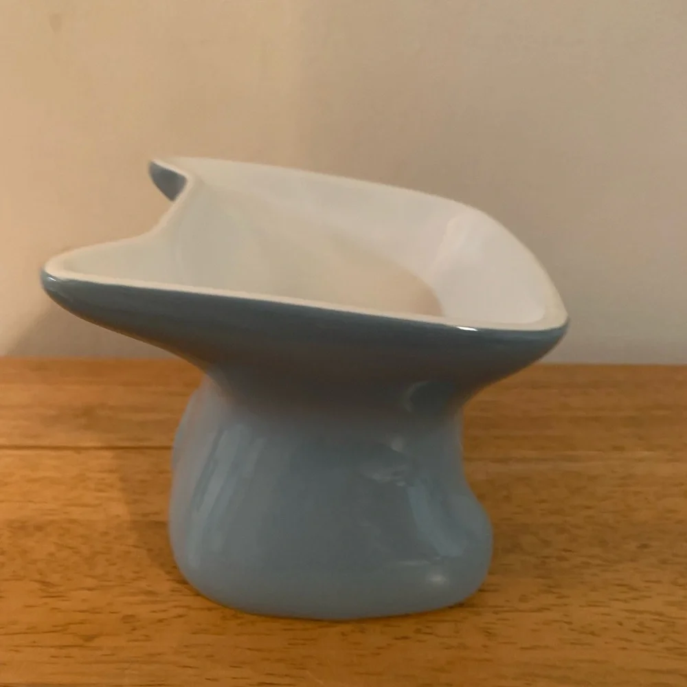 Whisker City Elevated Ceramic Cat Bowl Blue